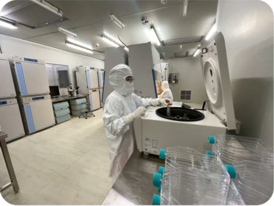 RYB Lab