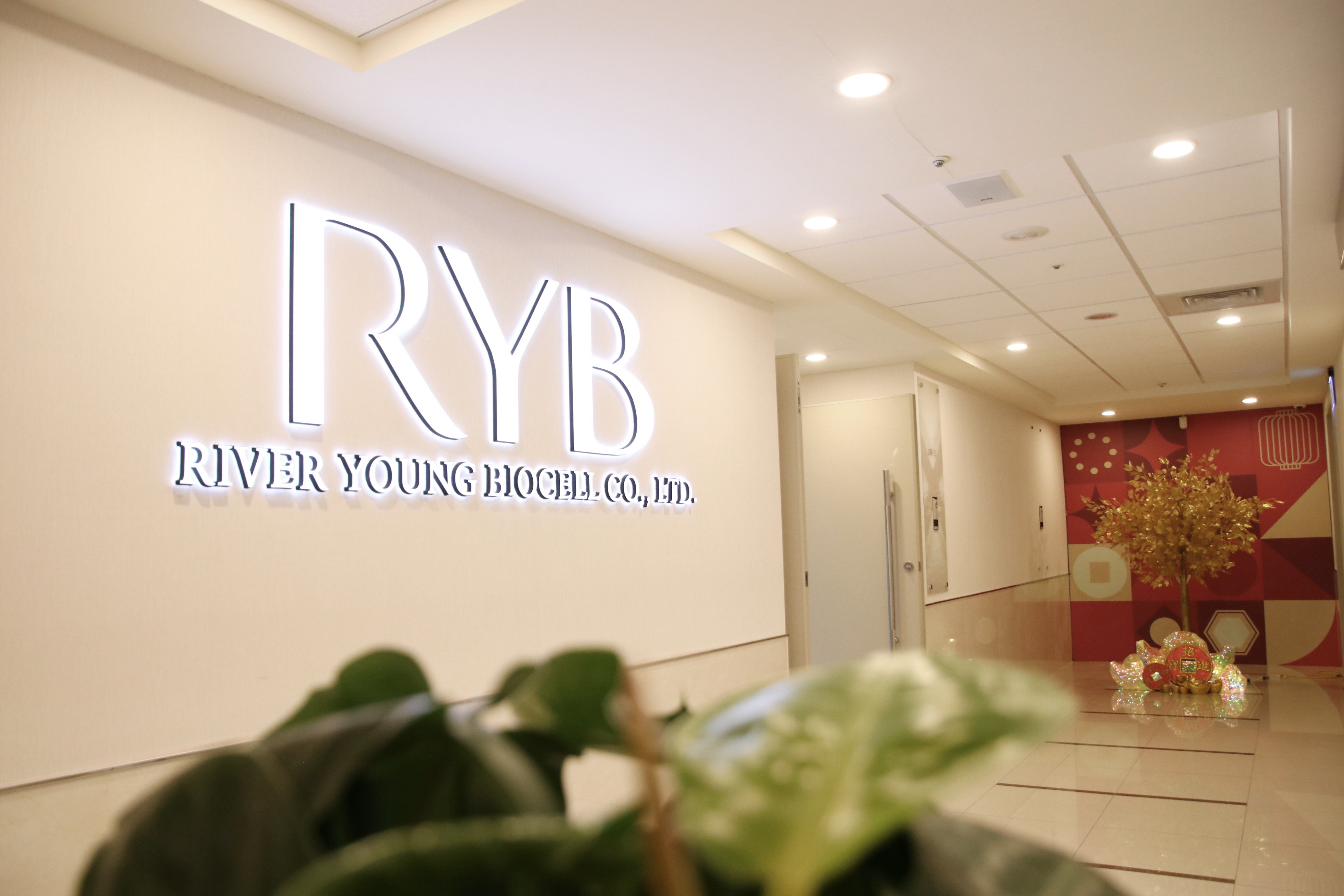 RYB